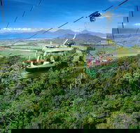 Best of Kuranda Including Skyrail Kuranda Scenic Railway and Rainforestation - Stayed