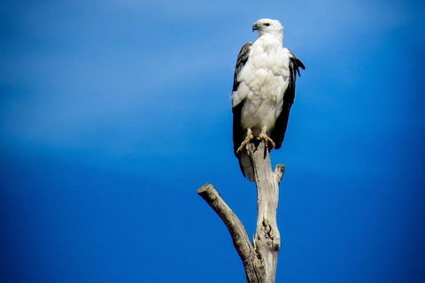 Kangaroo Island 75-Minute Ocean Safari - Stayed 0