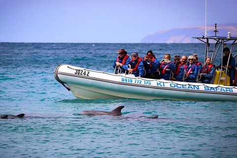 Kangaroo Island 75-Minute Ocean Safari - Stayed 4