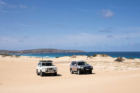 3 Day Port Lincoln And Coffin Bay Private Tour - Stayed 0