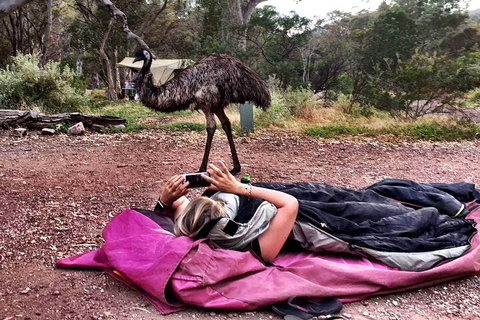 6 Day Esperance & Margaret River Adventure Tour - Stayed 5