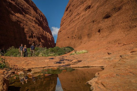 4 Day/3 Night Perentie Dreaming Safari - Stayed 3