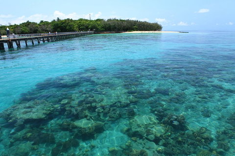 Cairns City Sights And Surrounds Tour - Stayed 1