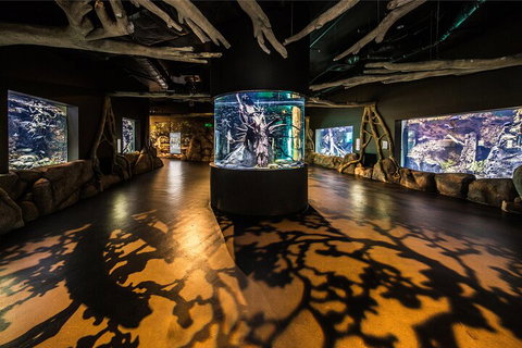 Cairns Aquarium Tour By Twilight With Drink And Appetiser - Stays Accommodation 1