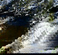 Cradle Mountain Day Tour from Launceston Including Lunch - Stayed