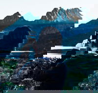 Cradle Mountain Park Explorer Guided Tour - Stayed