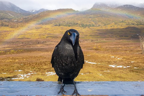 Cradle Mountain Park Explorer Guided Tour - Stays Accommodation 2