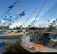 Beyond Byron Hinterland Tour - Stayed