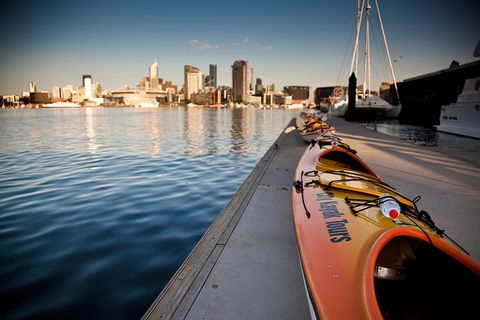 Melbourne Sunset Kayaking Experience With Dinner - Stayed 0