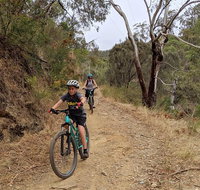Mount Lofty Descent Bike Tour from Adelaide - Stayed