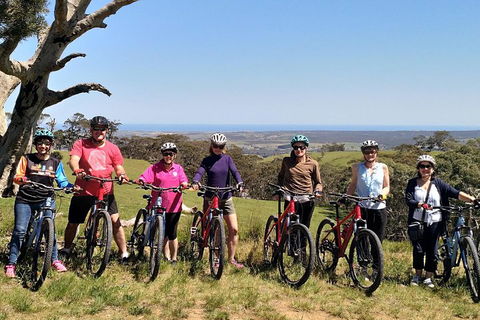 McLaren Vale Wine Tour By Bike - Stayed 2