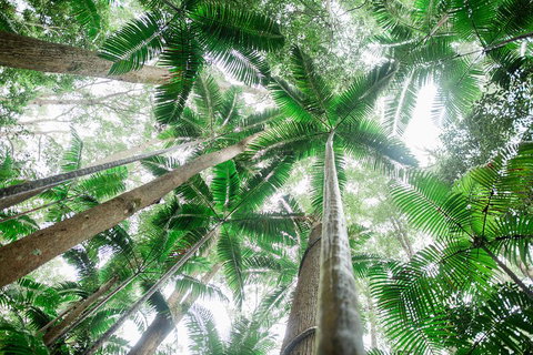 Fraser Explorer K'gari 2-Day Tour - Stayed 2