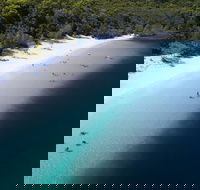 All-Inclusive Fraser Island Day Tour - Stayed