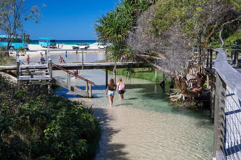 All-Inclusive Fraser Island Day Tour - Stayed 4