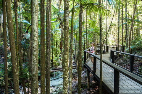 All-Inclusive Fraser Island Day Tour - Stayed 5