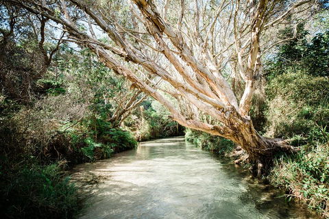 3-Day Fraser Island Resort Package - Stayed 5