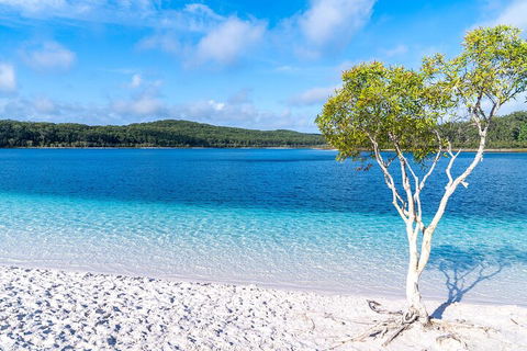 Lake McKenzie Full-Day Tour With Lunch From Hervey Bay - Stayed 1