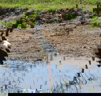 Darwin to Kakadu Day Trip by Air Including Yellow Water Cruise - Stayed