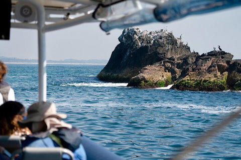 Julian Rocks Byron Bay Cruise - Stayed 2