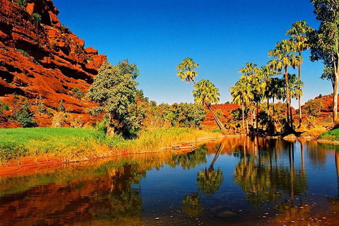 Palm Valley 4WD Day Tour - Stayed 2