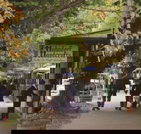 Adelaide Highlights Hahndorf  McLaren Vale Wine Tasting and Sightseeing Tour - Stayed