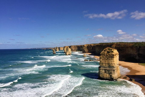 Great Ocean Road Reverse Itinerary Tour - Stayed 4