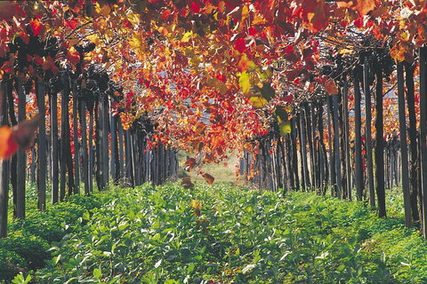 Margaret River Private Tour - Stayed 0