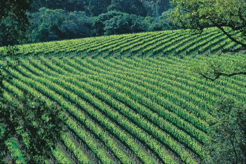 Margaret River Private Tour - Stayed 4