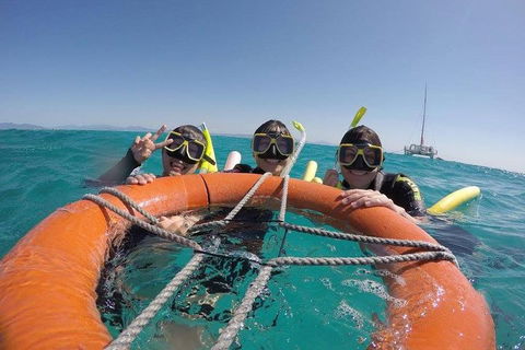 Full-Day Great Barrier Reef Sailing Trip - Stayed 0