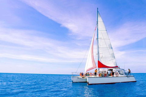 Full-Day Great Barrier Reef Sailing Trip - Stayed 4
