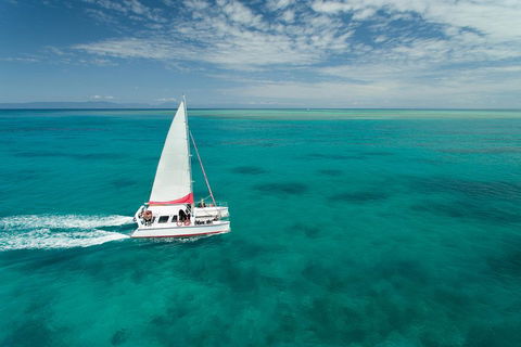 Full-Day Great Barrier Reef Sailing Trip - Stayed 5