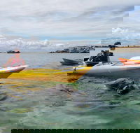 Seal Island and Penguin Island or Point Peron Sea Kayak Tour