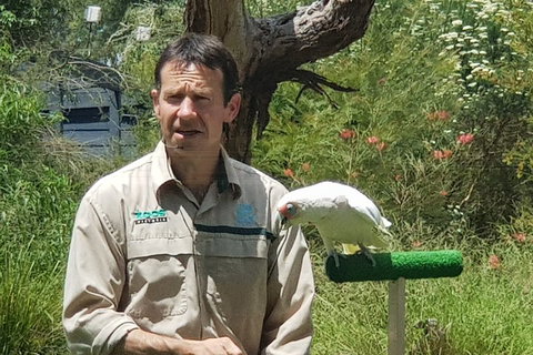 Healesville Sanctuary And Rayners Orchard Tour From Melbourne - Stayed 0