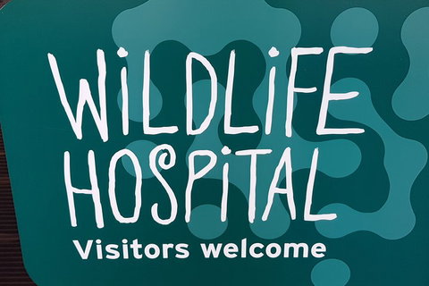 Healesville Sanctuary And Rayners Orchard Tour From Melbourne - Stayed 1