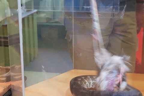 Healesville Sanctuary And Rayners Orchard Tour From Melbourne - Stayed 4