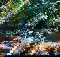 Aquaduck  Your choice of Gold Coast Rainforest Tour - Stayed