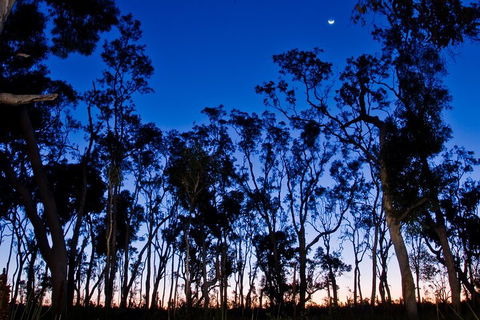 Small-Group Kangaroo Island 4WD Night Tour - Stayed 2