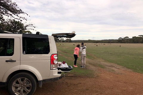 Kangaroo Island 4WD Tour - Flinders Chase - Stayed 3