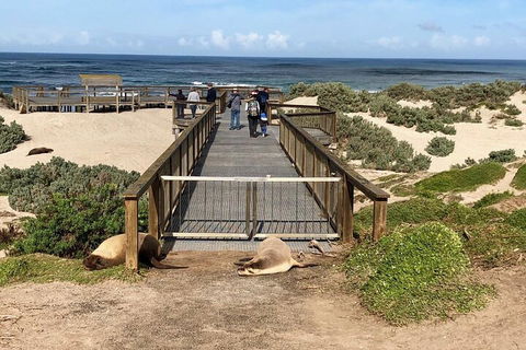 Kangaroo Island 4WD Tour - Best Of KI - Stayed 2