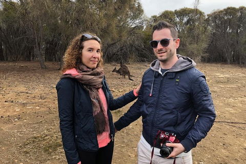 Kangaroo Island 4WD Tour - Best Of KI - Stayed 3