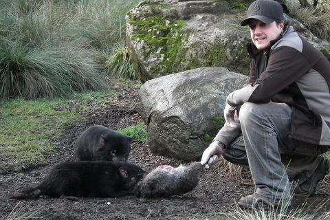 After Dark Tasmanian Devil Feeding Tour At Cradle Mountain - Stayed 2