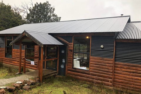 After Dark Tasmanian Devil Feeding Tour At Cradle Mountain - Stayed 3