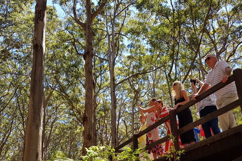 The All About Margaret River Tour: Wine, Coffee, Lunch And Forest - Stayed 3