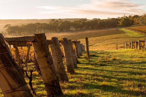 The All About Margaret River Tour: Wine, Coffee, Lunch And Forest - Stayed 5