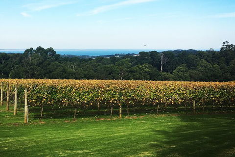 Yarra Valley Wine Tour Inc Lunch With A Glass Of Wine, Tastings And Chocolate - Stayed 2