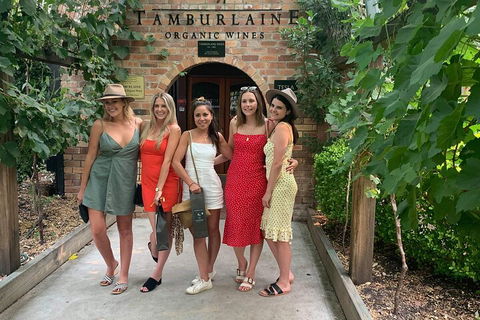 A Full Day Hunter Valley Wine Tasting Tour With Lunch And Tasting Fee's Included - Stayed 4