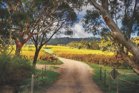 McLaren Vale Winery Small Group Tour With Wine Tasting And Lunch - Stayed 1