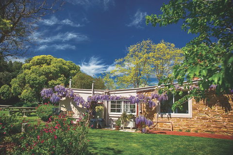 McLaren Vale Winery Small Group Tour With Wine Tasting And Lunch - Stayed 2