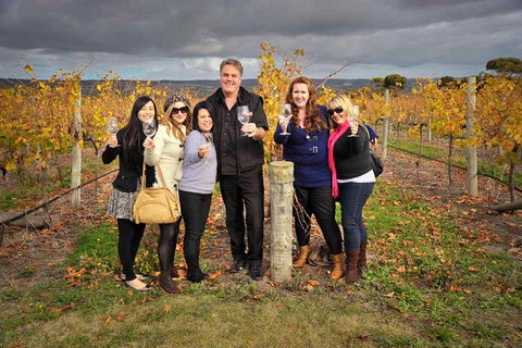 McLaren Vale Winery Small Group Tour With Wine Tasting And Lunch - Stayed 3