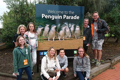 Phillip Island Medium Size Group Tour - Stayed 5